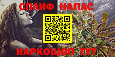 apvp Моздок