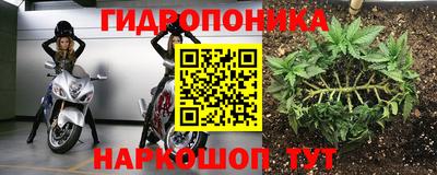 apvp Моздок