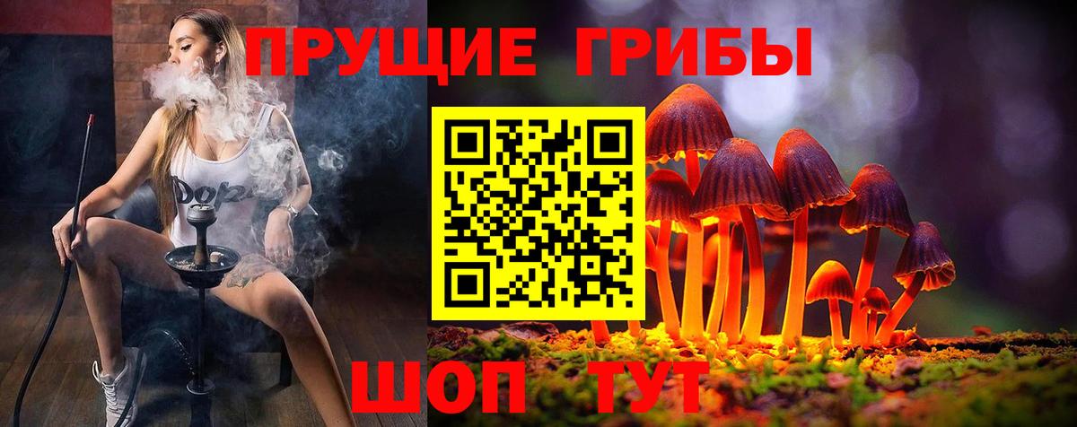 Псилоцибиновые грибы прущие грибы  Вход с VPN  Энгельс 